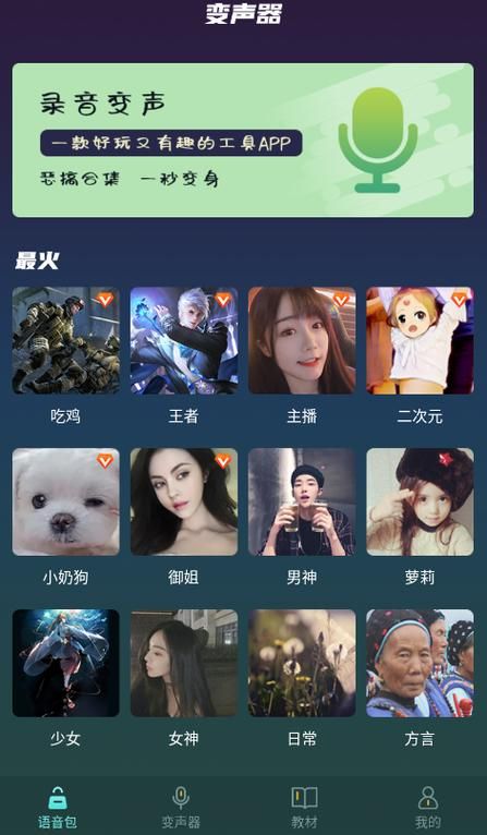 专业变声器会员破解版