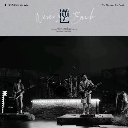 专治灰色歌曲·付费vip歌曲，网易云风格一样的款式