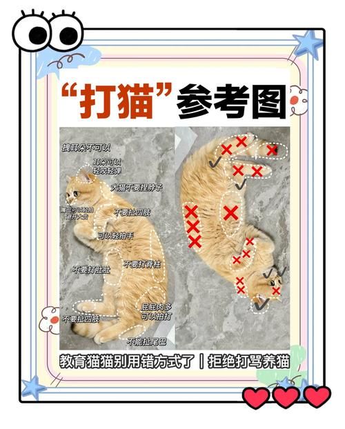 定位猫修改破解版 解锁无限时间