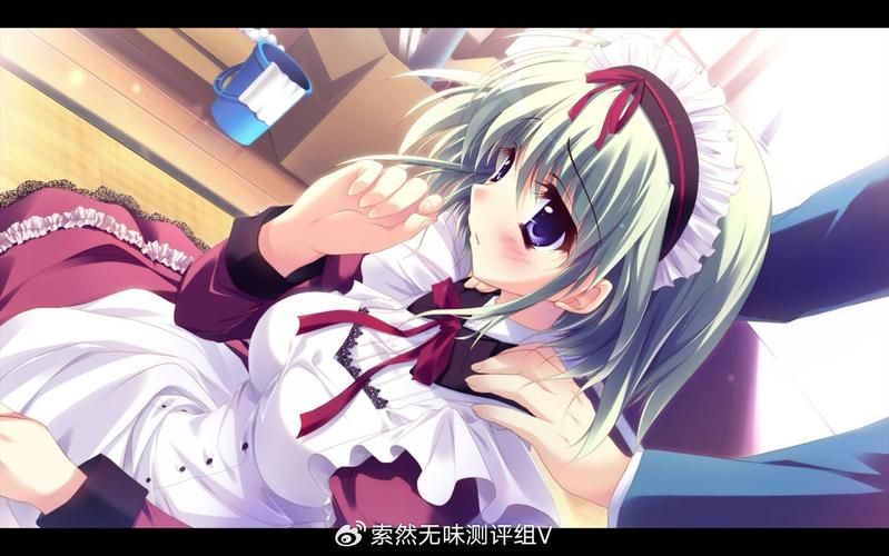 御宅义妹女仆：偶像少女养成计划！精修汉化版／COSH／全CV／700M