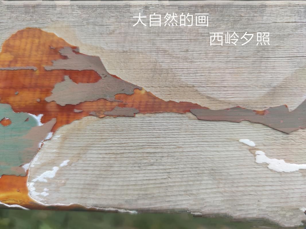 浸蚀（腐烂）Ver2.55 产品精修简体中文版舞弊版【欧美国家SLG／简体中文版／PC 安卓系统／5G】