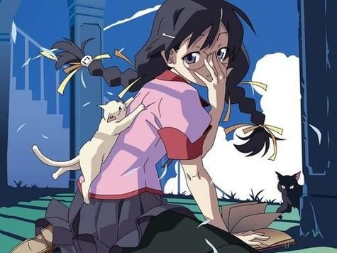 監禁少女：Re birthing +攻略 [2.8G／百度]