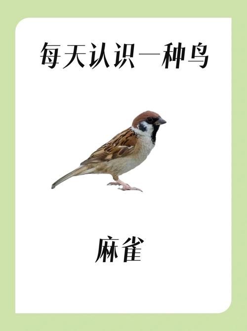 究極想象麻雀鸟PLUS Ver.2.12中文版【1.2G／SLG／简体中文版】