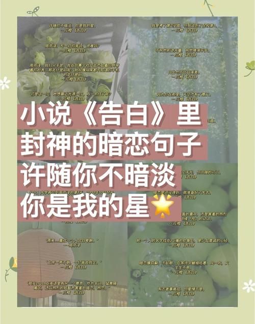 表白语录