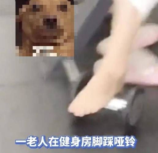 阿姨：突发事件健身房~身体紧贴的完美锻炼！汉化版+CG+动画