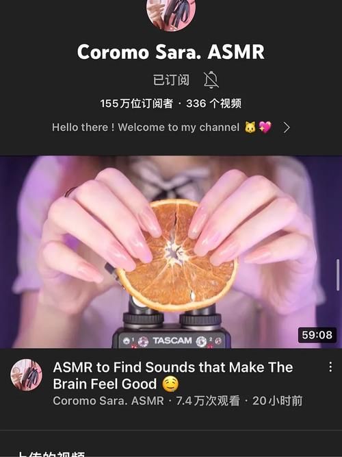ASMR竹曦更新地址哪个平台好？(用户推荐前三名)