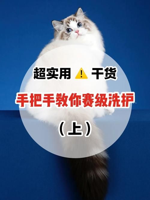 ASMR竹曦版本大全怎么用？快速上手指南手把手教！