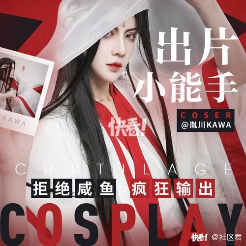 coser1汉化版最新内容使用方法？（新手简单上手教程！）