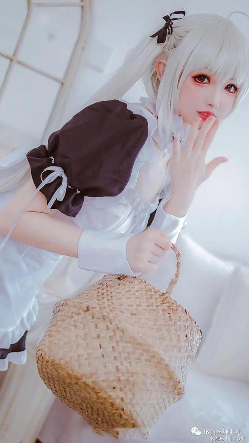 coser1绅士游戏攻略大全 手把手教你通关技巧