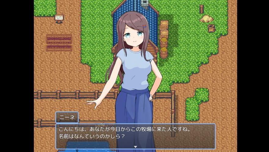 NTR后宫生活最新版本是多少？手把手教你更新到最新版！