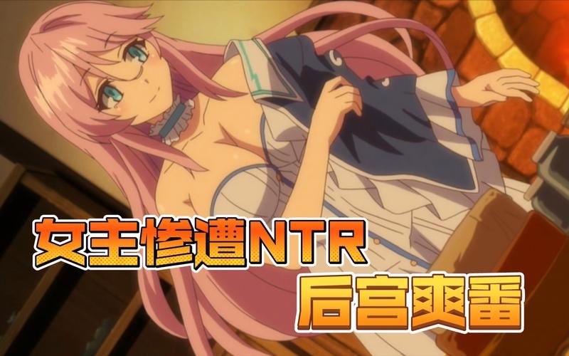 NTR后宫生活游戏攻略怎么玩？简单步骤新手入门教程