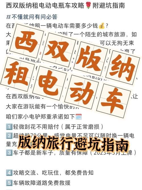 NTR课程下载安卓安全吗？（新手避坑指南分享！）