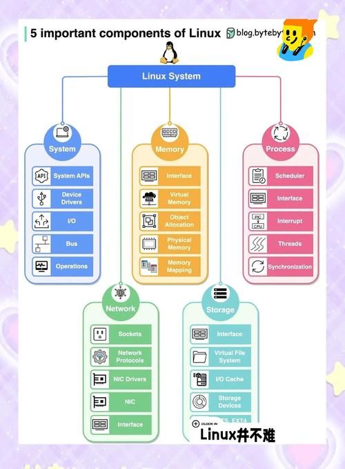 NTR课程最新版学什么？五大核心模块超详细拆解！