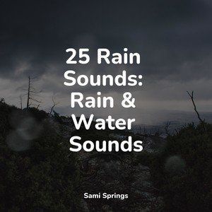 Rainnight雨下载地址哪个平台好？推荐这几个靠谱渠道！