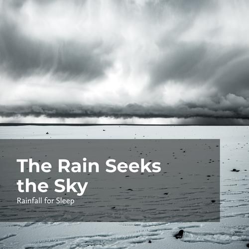 Rainnight雨下载安卓安全吗？教你辨别靠谱安装包！