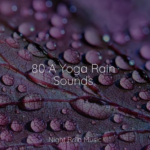 Rainnight雨官方网站好用吗？实测分享3大实用功能！