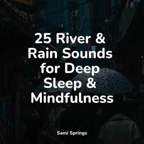 Rainnight雨更新地址访问步骤？(新手必看简单操作指南教学)