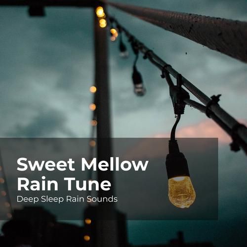 Rainnight雨最新版本是多少？新增功能抢先看全解析