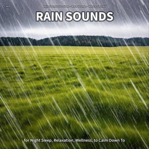 Rainnight雨最新版本有哪些亮点？盘点5个必试新功能！