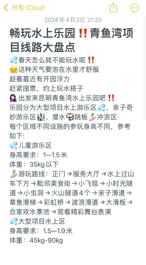 SOA水上乐园下载地址报错怎么办？轻松解决步骤超实用！
