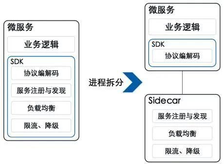 SOA雌小鬼如何下载免费版？避坑指南省钱省心！