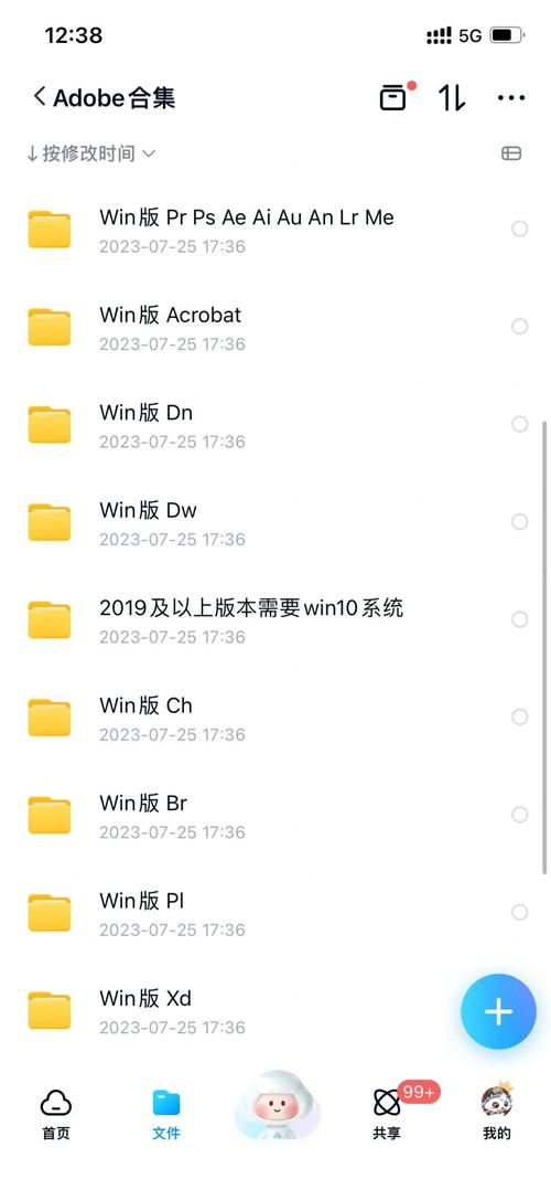 SOBV0.31精翻下载地址怎么用？新手快速安装指南分享！