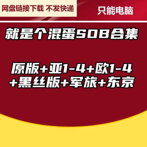 SOB军旅DLC汉化版下载哪里找？这几个网站资源超稳！