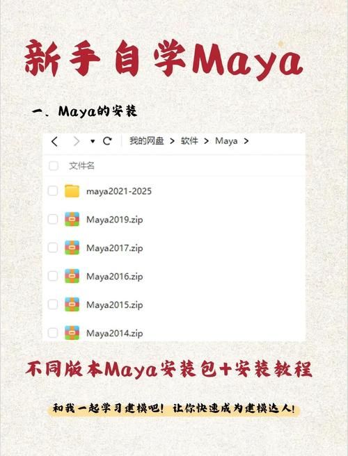 VAM纯净中文版下载安装教程解析，完整步骤轻松学会！