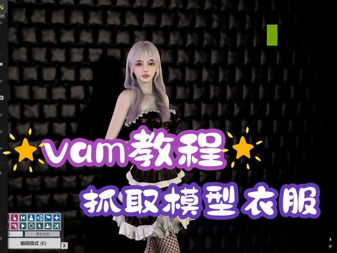 VAM纯净中文版怎么安装？汉化版最新更新教程速成！