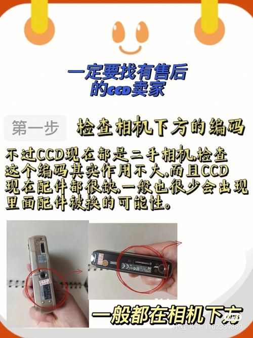 VAM纯净中文版怎么玩？新手入门指南分享！