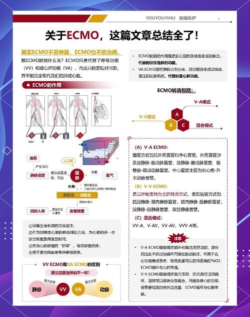 Vtuber平台哪家好？比较几个主流平台的优缺点