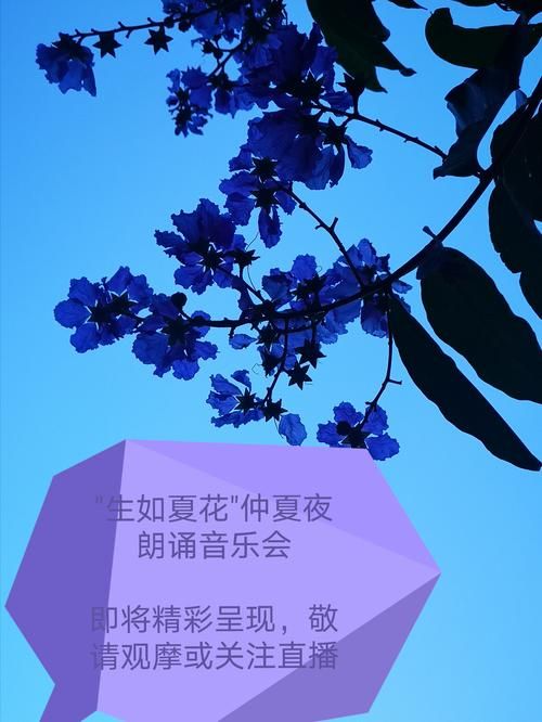 一夏之花如何下载免费版？避免隐藏收费小技巧！