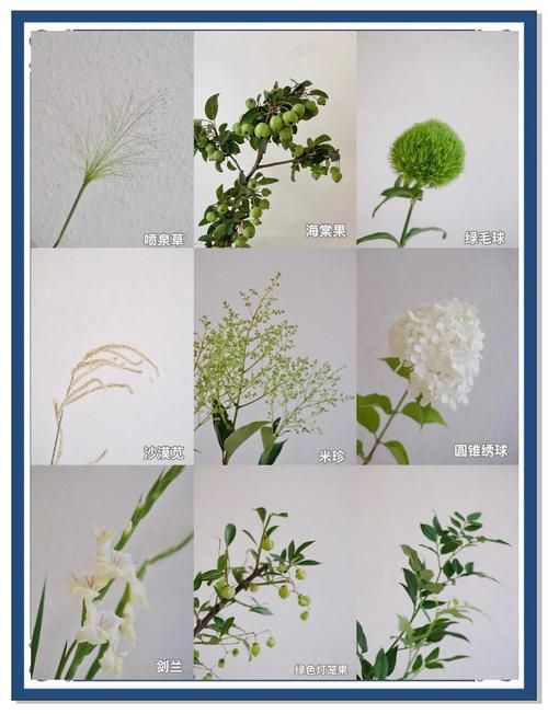 一夏之花官网爆款推荐？今夏最火鲜花清单在这