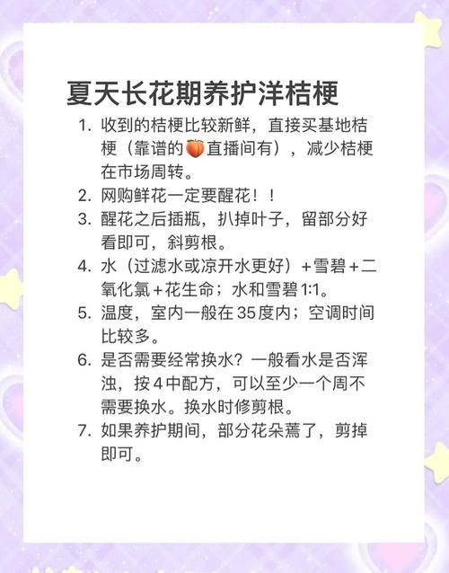 一夏之花怎么玩？新手必学的5个技巧分享
