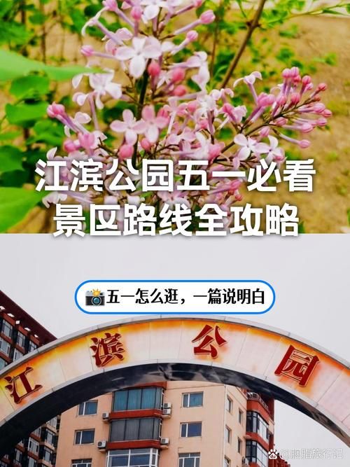 上古卷轴MOD2安卓汉化常见问题？下载安装避坑指南