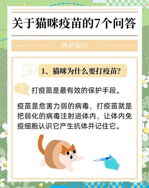 下载捡到千年猫的方法有哪些？(详细步骤避免病毒风险！)