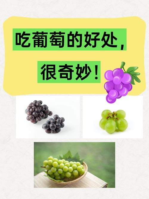 下载葡萄成熟时汉化版有风险吗(避坑技巧分享)