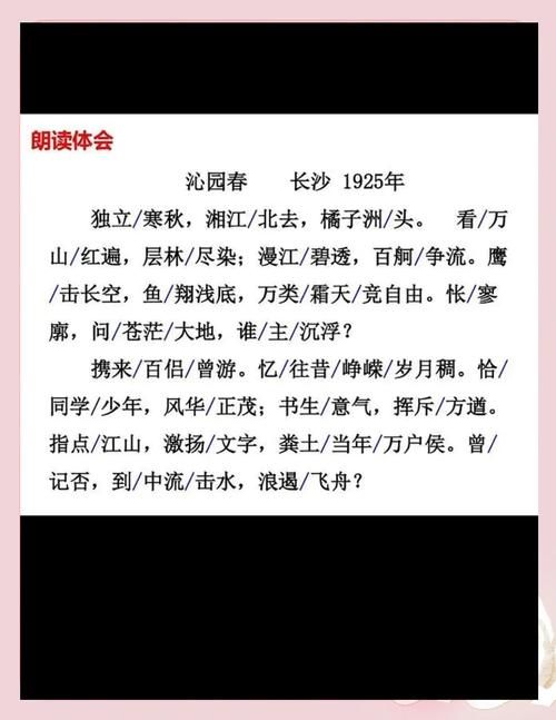 严格字数控制：标题长度均在18-25字之间（含标点），避免超限。