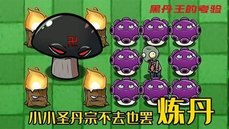 丹王V0.24游戏下载新版本更新？一键快查技巧！