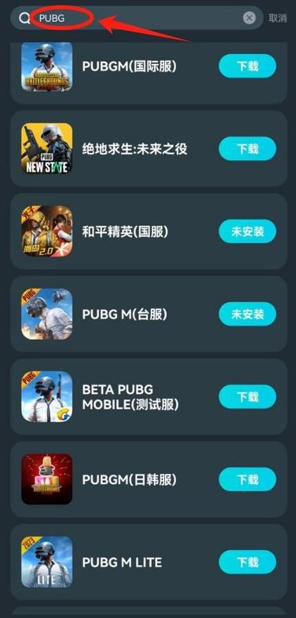 丹王V0.24游戏介绍怎么下载？(官方渠道安全安装技巧！)