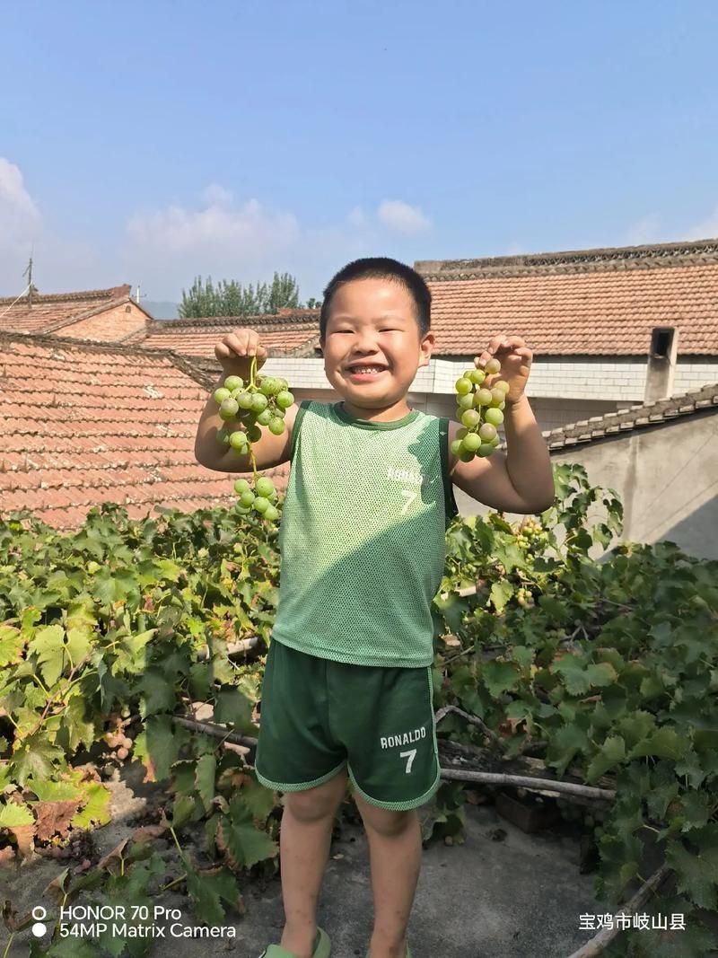 为什么选择乡村生活的快乐暑假汉化版最新更新内容？核心优点全介绍！