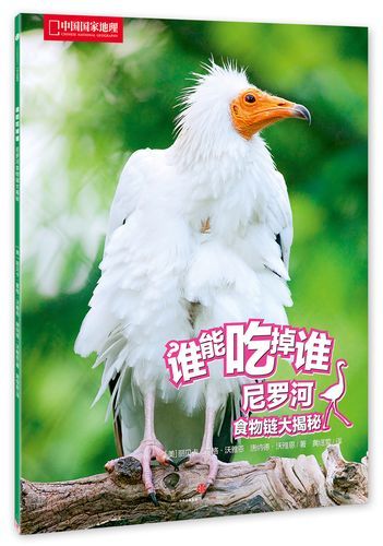 丽贝卡最新怎么样？资深粉揭秘这3个绝妙优势！