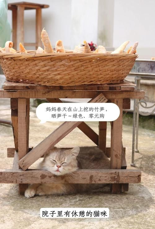 乡下生活最新版本升级好处？(对比旧版提升明显)