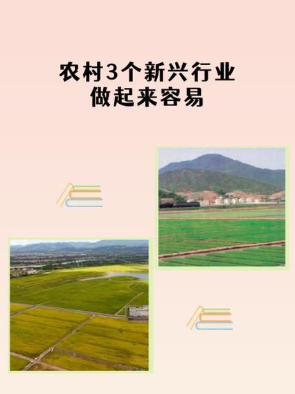 乡下生活最新赚钱门路？农村创业三个好选择