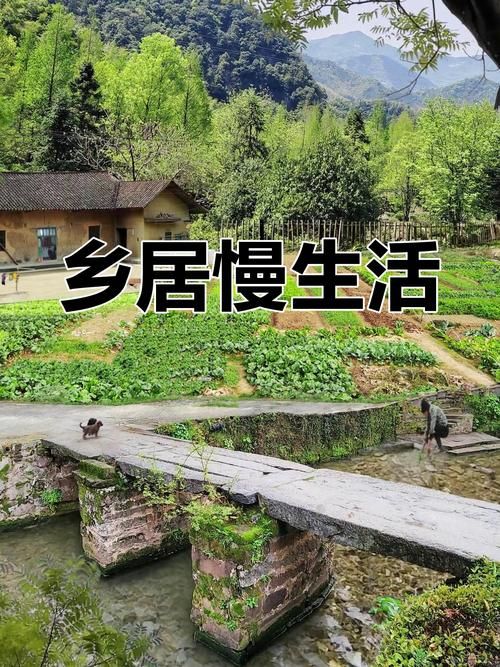 乡下生活版本大全推荐榜？(最热门10大版本分享)