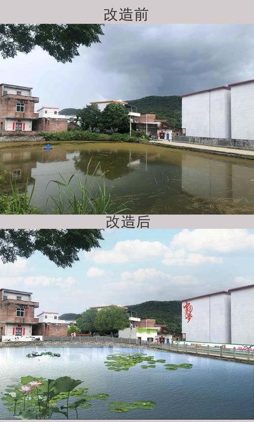 乡村改造下载地址在哪里找？热门平台推荐与对比！