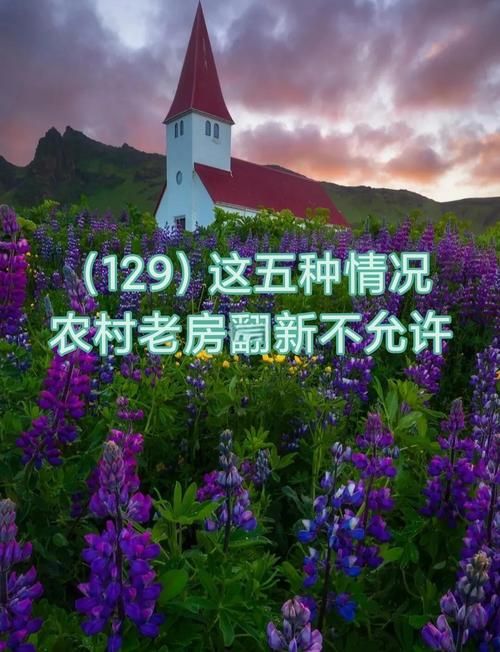 乡村改造在哪下载？三步教你找到靠谱资源不踩坑！