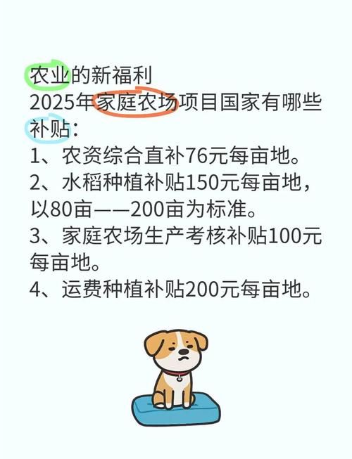 乡村改造最新政策有啥？这些补贴项目农民要知道