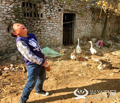 乡村生活的快乐暑假下载安装卡顿？手机电脑双端运行攻略