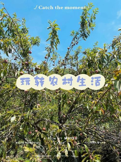 乡村生活的快乐暑假如何下载？5个步骤教你轻松搞定！